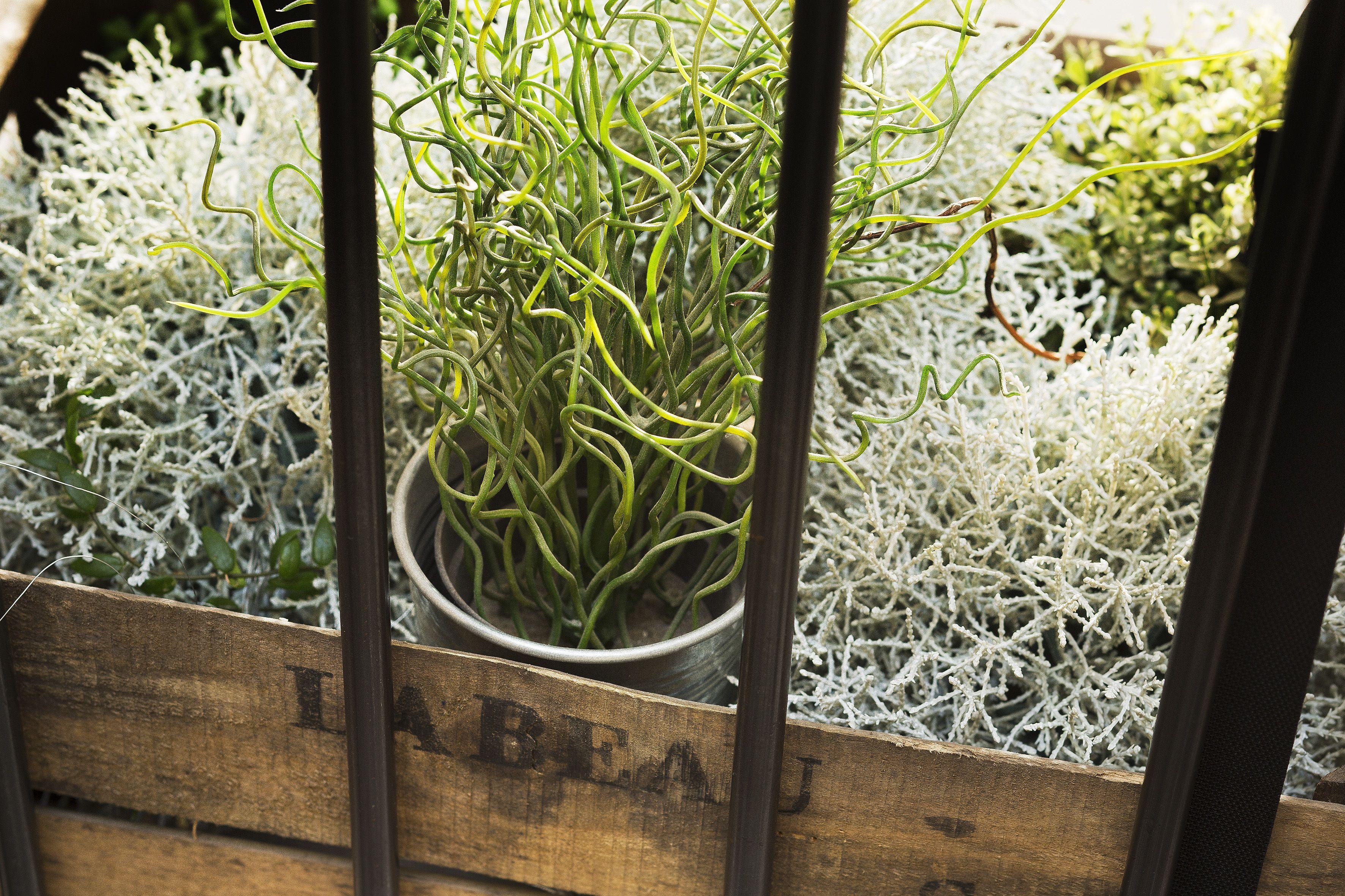 Hotel Maxim Quartier Latin Paris